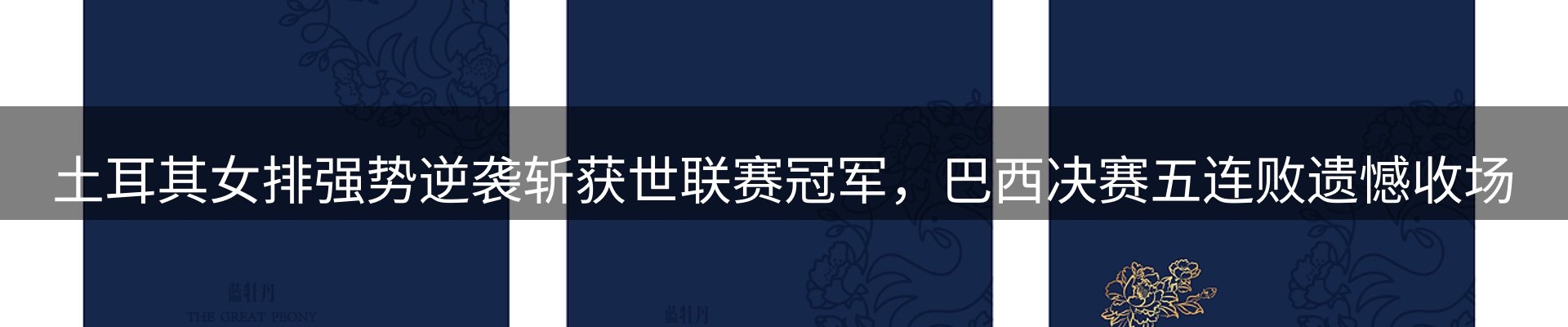 最新动态
