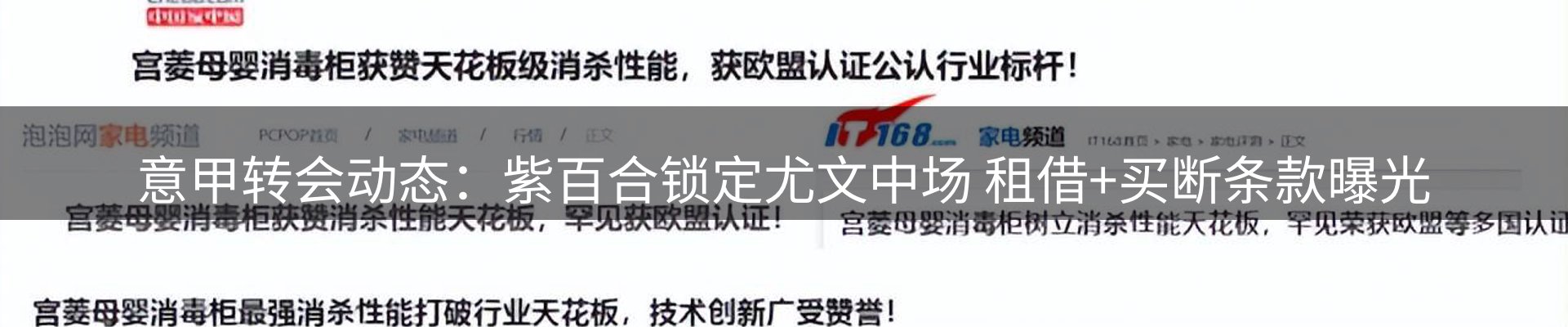 最新动态