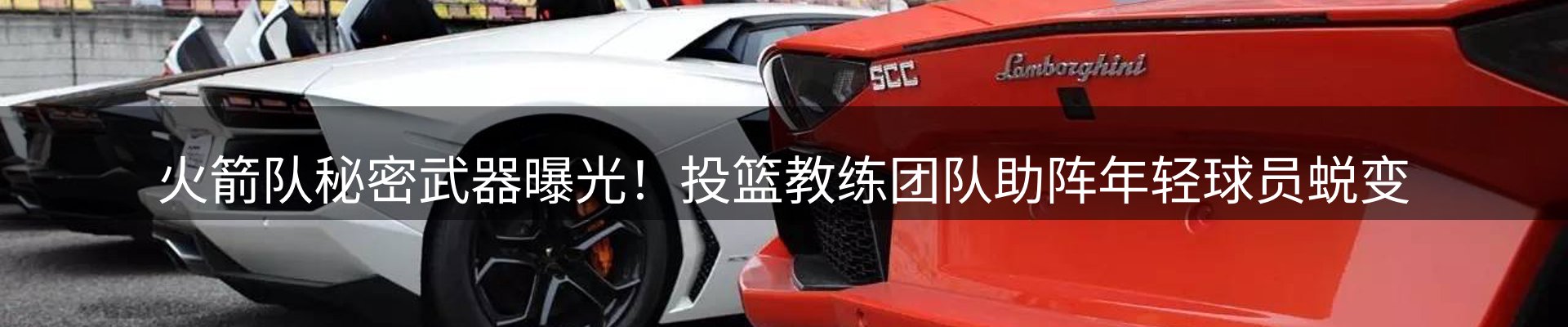 最新动态
