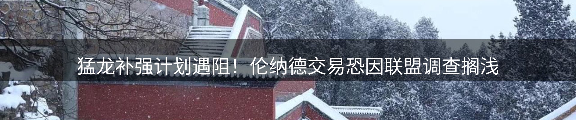 最新动态