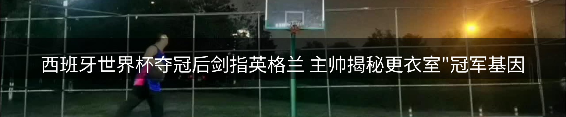 最新动态